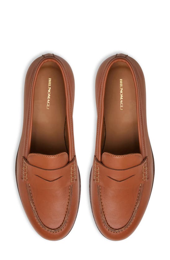 Shop Bruno Magli Lixia Loafer In Cognac