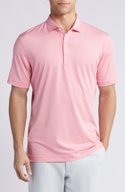 Lyndon Classic Fit Polo in Sun Kissed