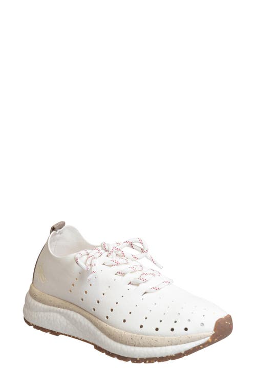 Alstead Perforated Sneaker in Chamois