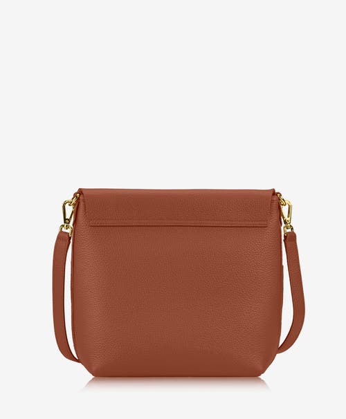 Shop Gigi New York Andie Crossbody In Saddle