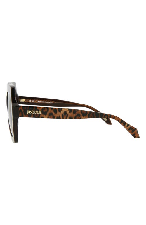 Just Cavalli 53mm Square Sunglasses In Brown Brown Brown