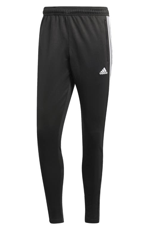 Shop Adidas Sportswear Tiro Tapered Athletic Pants In Black/white