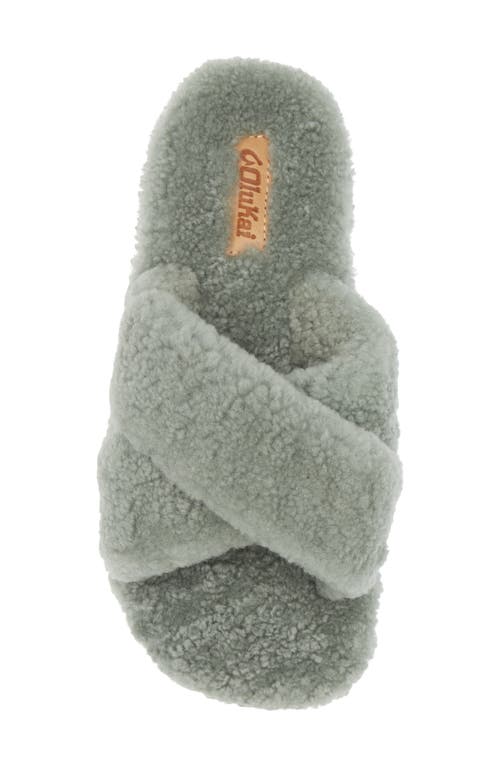 Shop Olukai Hila Heu Genuine Shearling Slipper In Muted Green/muted Green