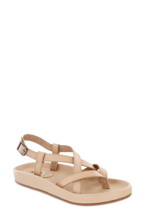 MIA Limited Edition Zurie Slingback Sandal at Nordstrom,