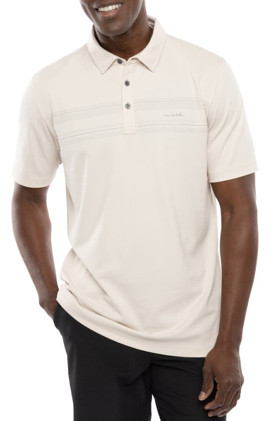 Shop Travismathew Turn Back Stripe Cotton Blend Polo In Moonbeam