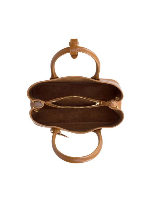 Teddy Blake Vanessa Palmelatto 12" In Cognac