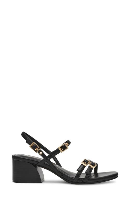 Anne Klein Women's Mackenzie Strappy Buckle Block Heel Dress Sandals In Black Smooth