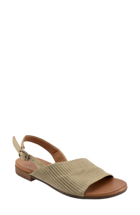 Shop Bueno Tiffany Slingback Sandal In Moss