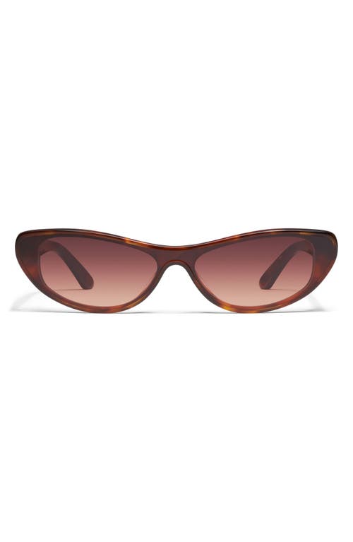 Quay Australia x Guizio Slate 37mm Gradient Cat Eye Sunglasses in Tortoise Dark Brown at Nordstrom