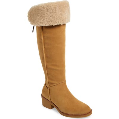 Coach Janelle Over The Knee Boot, Brown