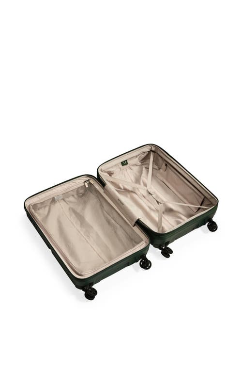 Antler Single Stripe Medium In Green