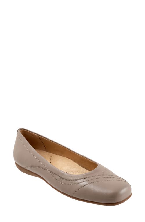 Trotters Sasha Square Toe Flat Stone at Nordstrom,