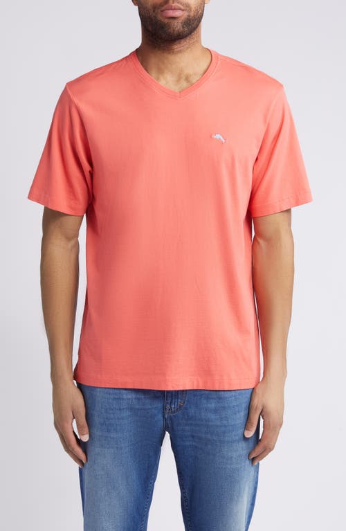 Tommy Bahama New Bali Skyline V-Neck T-Shirt at Nordstrom,