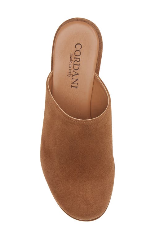 Cordani Jules Platform Mule In Clove Suede