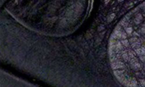 Sas Relaxed Slingback Sandal In Black