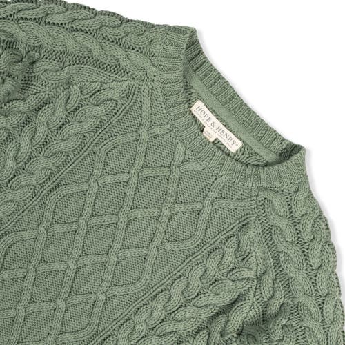 Shop Hope & Henry Baby Boys' Organic Raglan Fisherman Sweater, Infant In Sage Cable