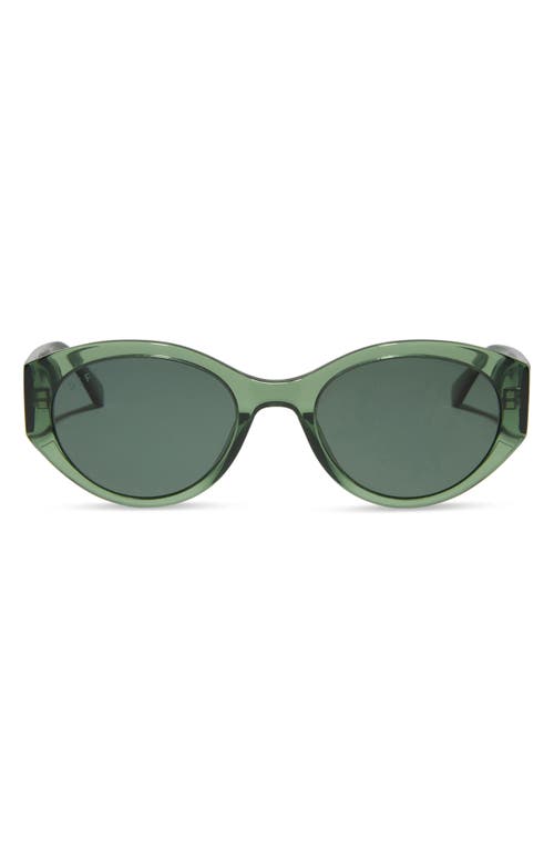 Linnea 54mm Polarized Oval Sunglasses in Sage Crystal /G15