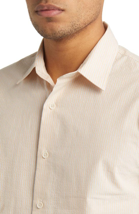 Vince Peninsula Stripe Short Sleeve Button-up Shirt In Warm Oat