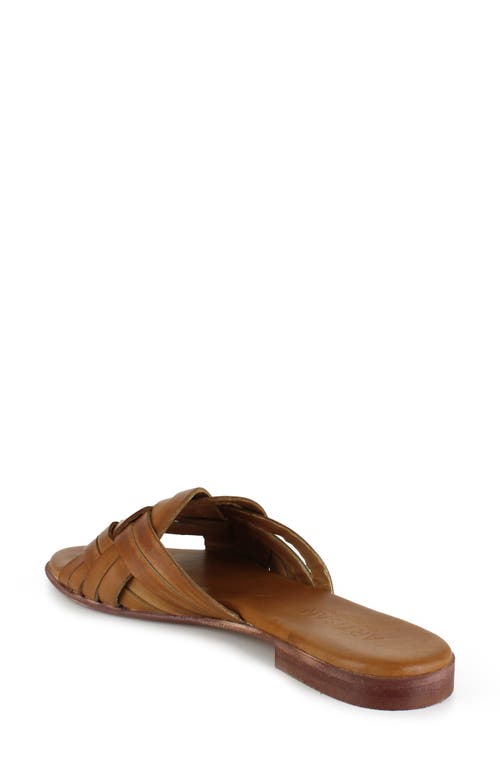 Shop Artisan Crafted By Zigi Arutzy Slide Sandal In Brown