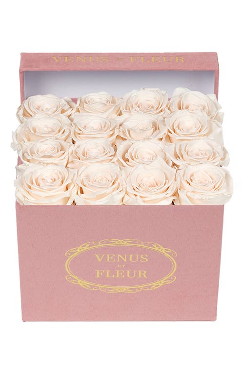 Venus ET Fleur Classic Small Square Eternity Roses in Blush at Nordstrom