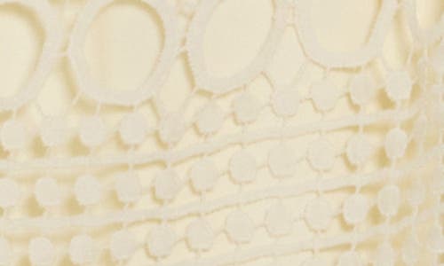 By Design Brianna Short Sleeve Lace Top In Gardenia
