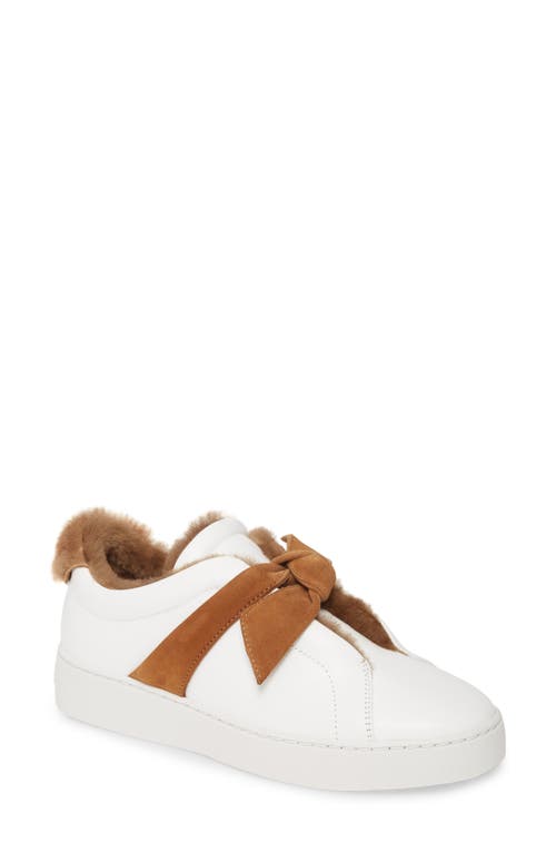 Alexandre Birman Clarita Bow Genuine Shearling Lined Sneaker In White/cognac