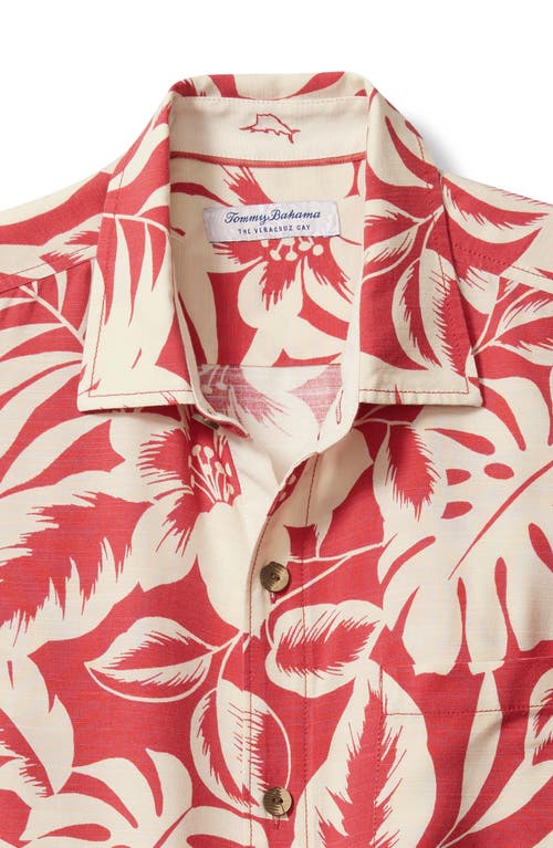 Shop Tommy Bahama Veracruz Cay Lindavista Leaves Short Sleeve Button-up Shirt In Dark Havana