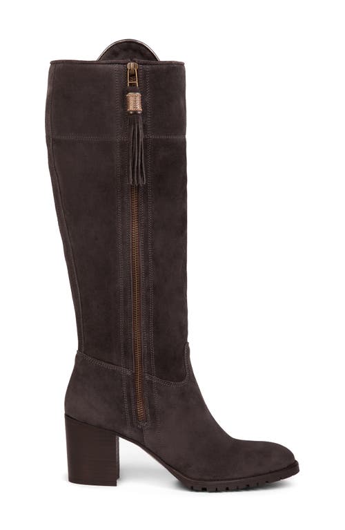 Fina Tassel Knee High Boot in Slate