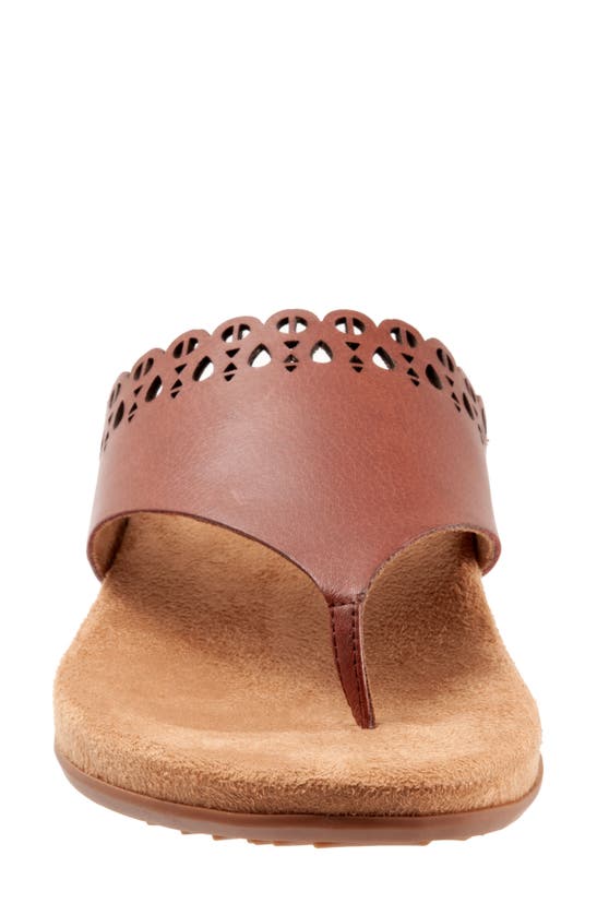 Shop Softwalk ® Bethany Leather Sandal In Brown Toffee