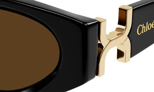 Chloé Ch0259s Cat Eye Acetate Sunglasses In Black