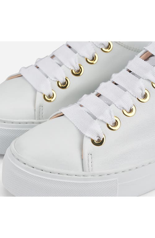 Shop Agl Attilio Giusti Leombruni Agl Parsy Low Top Platform Sneaker In White-white