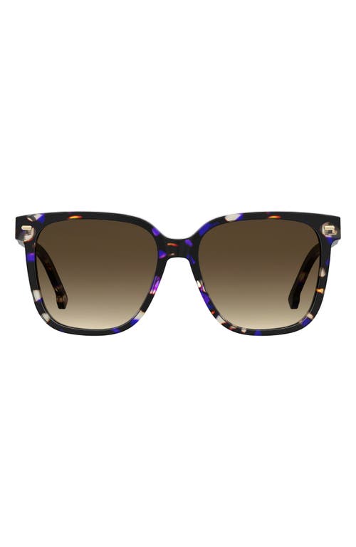 55mm Rectangular Sunglasses in Violet Havana/Brown Gradient