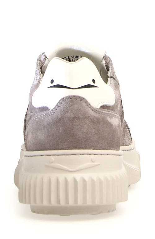 VOILE BLANCHE VOILE BLANCHE LIPARI GENUINE SHEARLING LINED SNEAKER 
