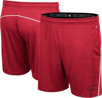 COLOSSEUM Men's Colosseum Cardinal Arkansas Razorbacks Laws of Physics ...