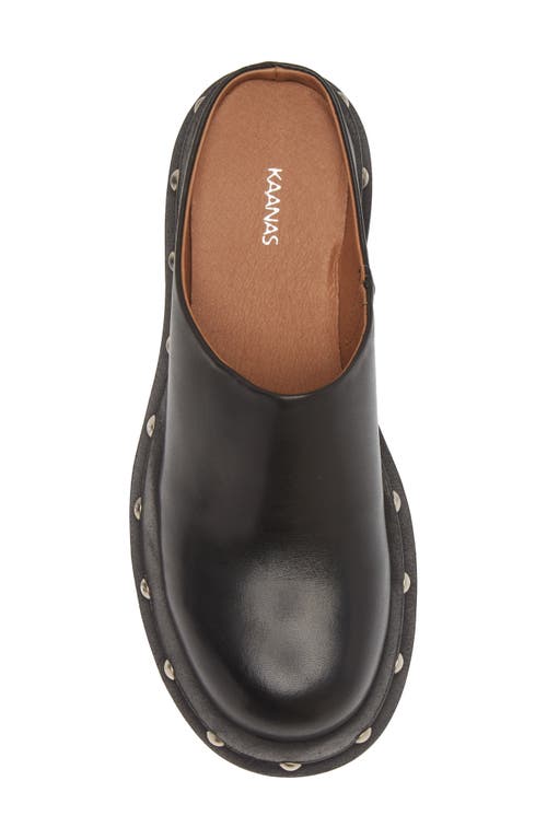 KAANAS KAANAS MEG LUG SOLE MULE