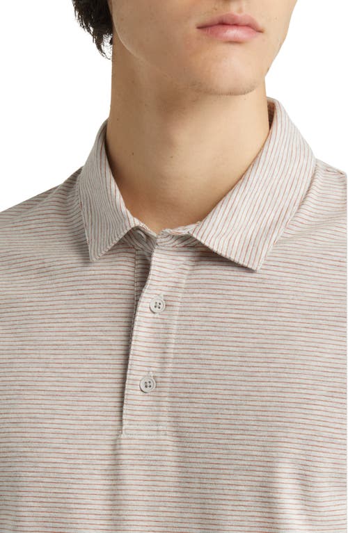 Shop Vince Ministripe Polo In Light Heather Grey/campfire