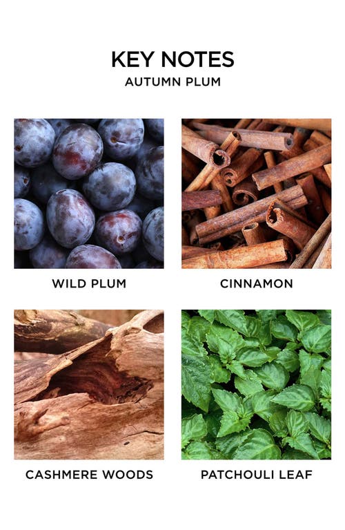 Nest New York Autumn Plum Votive Candle In No Color