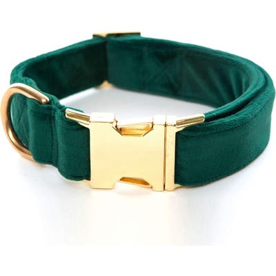 The Foggy Dog Velvet Dog Collar, Green
