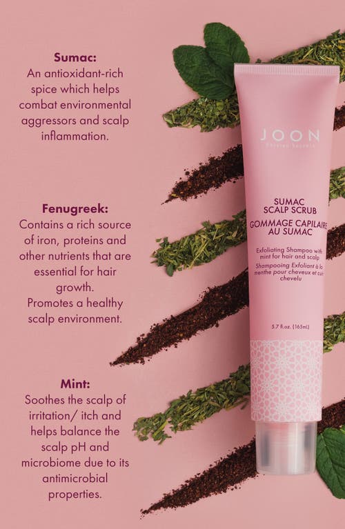 Joon Sumac Scalp Scrub & Exfoliating Shampoo In Pink