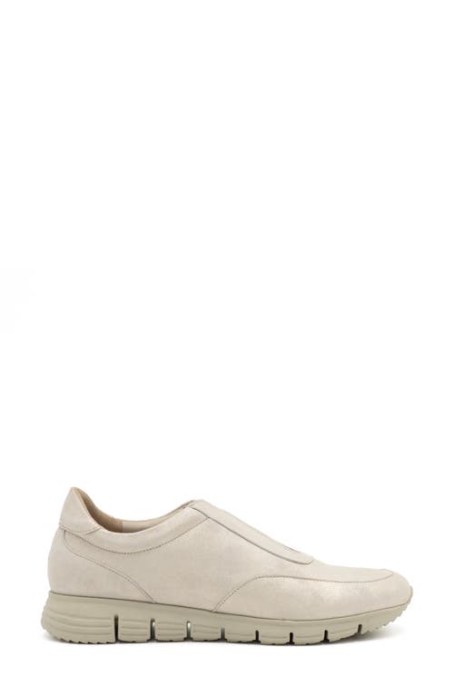 Amalfi By Rangoni Joseph Slip-on Sneaker In Crema/van Agean