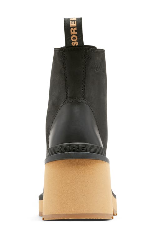 Shop Sorel Hi-line Waterproof Lace-up Boot In Black/tawny Buff
