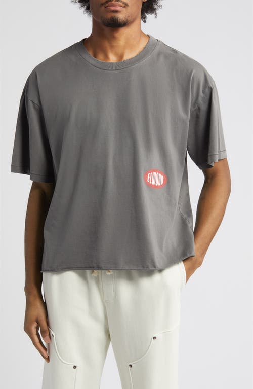 Crop Jersey Graphic T-Shirt in Vintage Grey