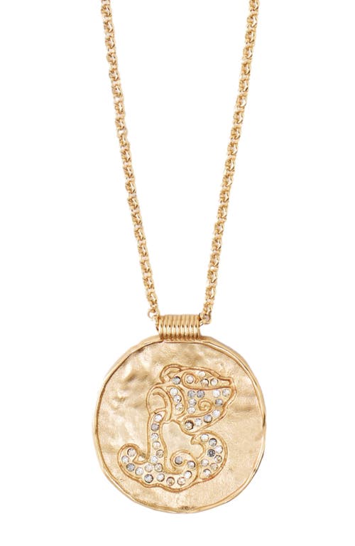 Maje Zodiac Medal In Aquarius
