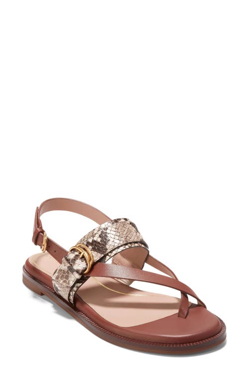 Cole Haan Anica Lux Slingback Sandal Sandollar Soho Snake Embossed at Nordstrom,