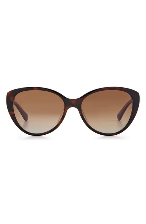 Kate Spade New York visalia 55mm gradient cat eye sunglasses in Dark Havana/Brown Gradient at Nordstrom