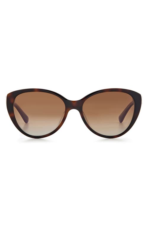 Kate Spade New York Visalia 55mm Gradient Cat Eye Sunglasses In Brown