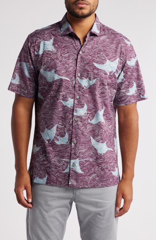 Tori Richard Manta Waves Short Sleeve Button-up Shirt In Wine