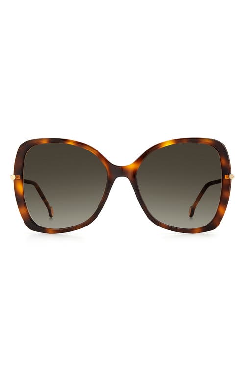 Carolina Herrera 55mm Gradient Square Sunglasses in Black /Grey Shaded