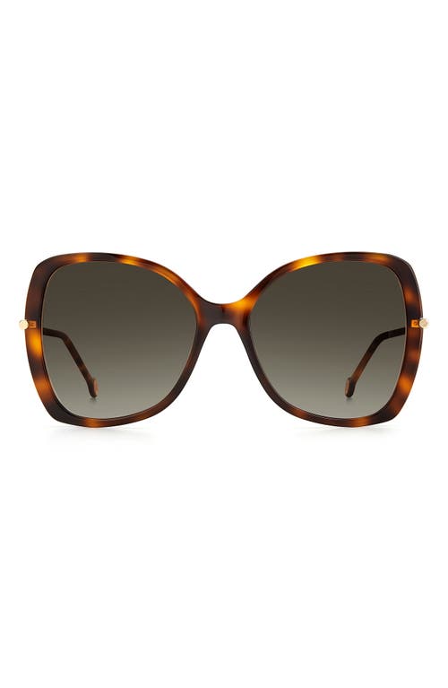 Shop Carolina Herrera 55mm Gradient Square Sunglasses In Havana/brown Gradient