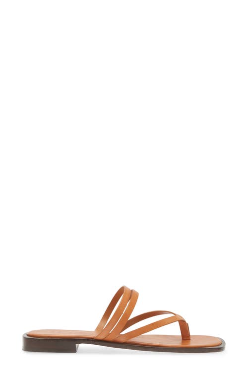 Shop Schutz Rania Strappy Flip Flop In Cuoio Brown